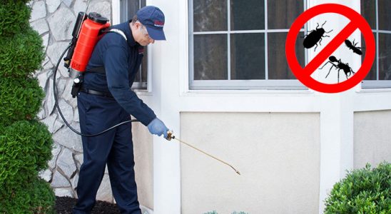 Kent 2 Dezenfeksiyon böcek ilaçlama ve haşere kontrolü — ilaclama-tr.com